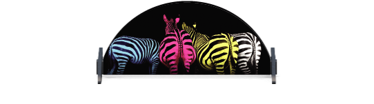 Skinny Fillers > Half Round Filler > Colourful Zebras